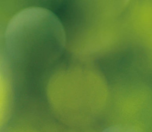 Functional Textile Material Composites: The innovation engine of the textile industry​